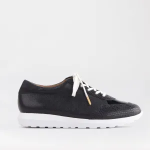 Lace-up Sneaker in Black Multi - 12594